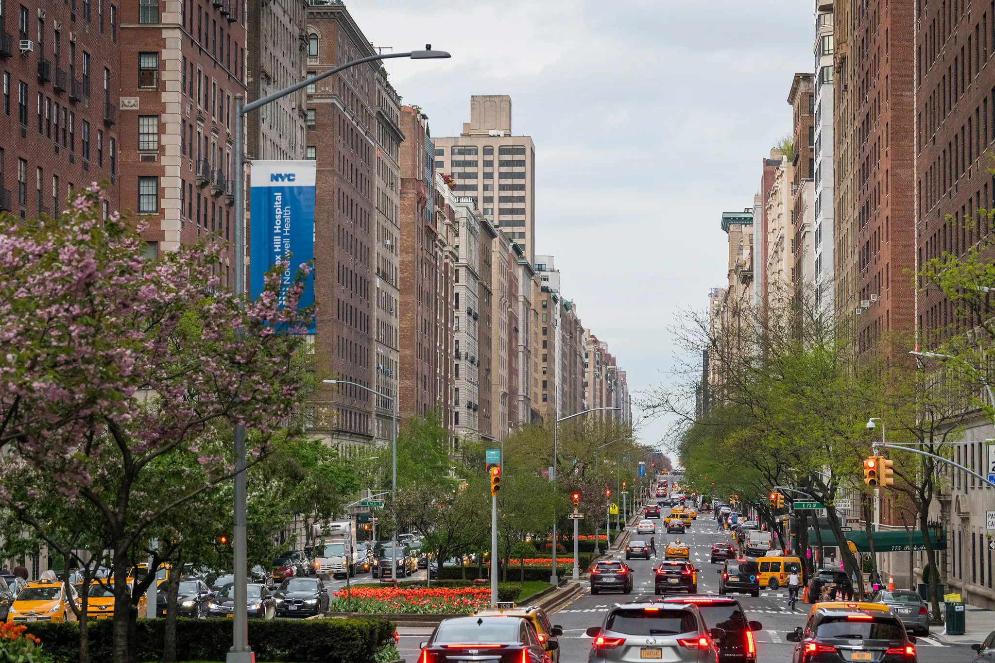 park ave 2.jpg