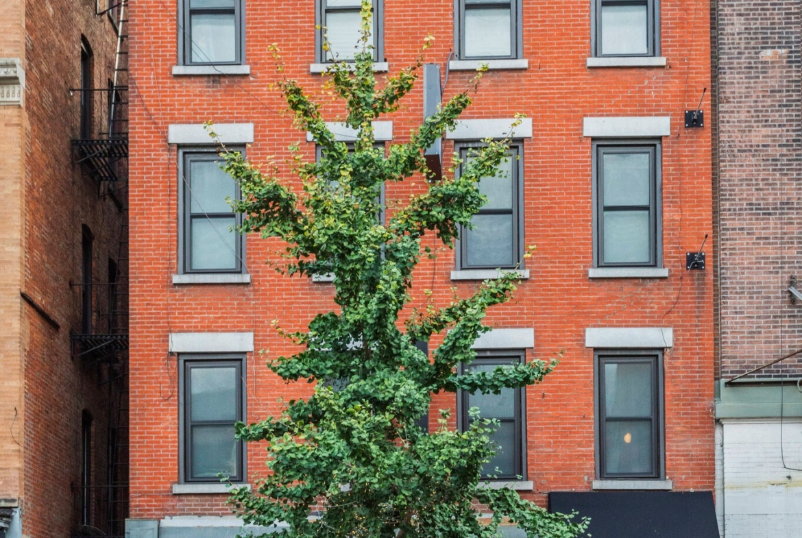 E 59th St, Upper East Side, Fully Built-Out Retail/Restaurant Space For Lease 350 - 1,500 SF