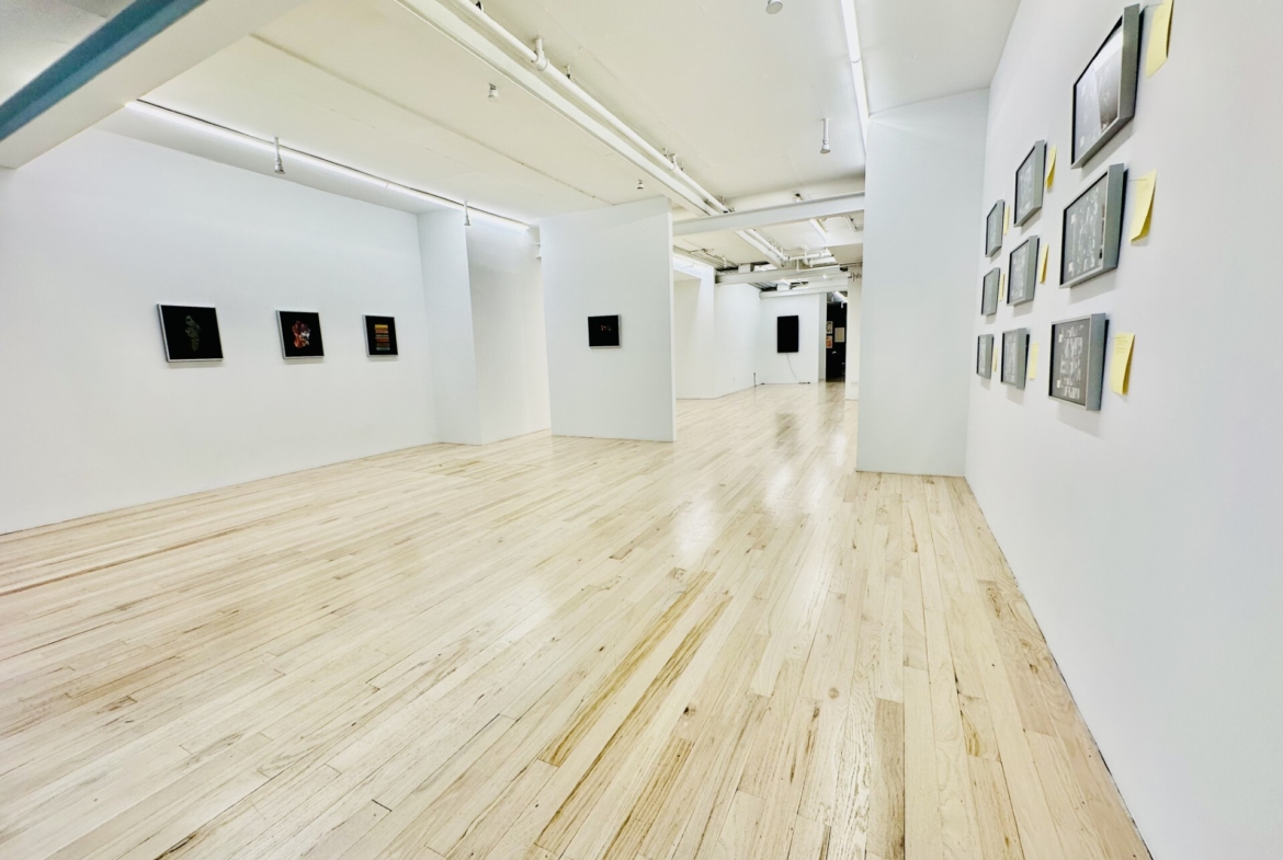 Allen St, Lower East Side, Fully Build-Out Retail/Restaurant Space For Lease 2,100 SF