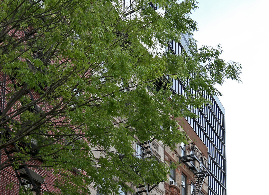 Orchard St, Lower East Side, Fully Built-Out Retail Space For Rent 3,050 SF