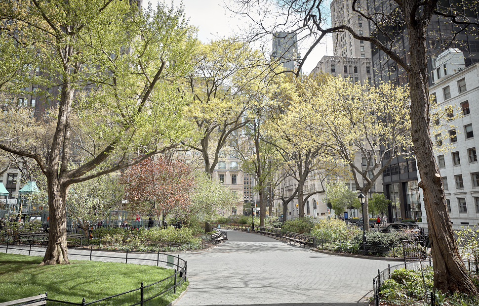 Madison Square 3